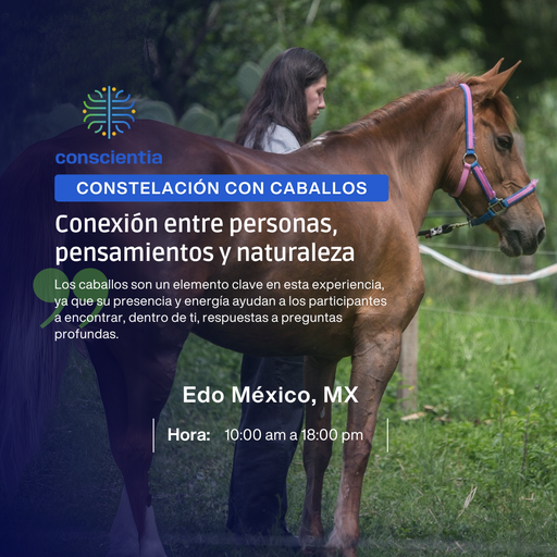 Constelación con Caballos